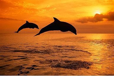 科乐美新实况《eFootball》不含任何离线模式